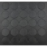 Peitetarra musta 0190